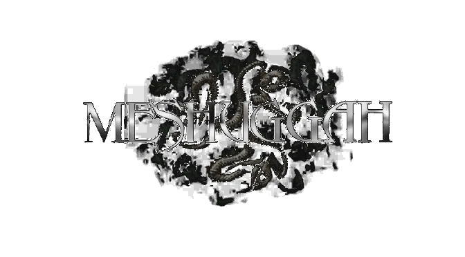 Meshuggah